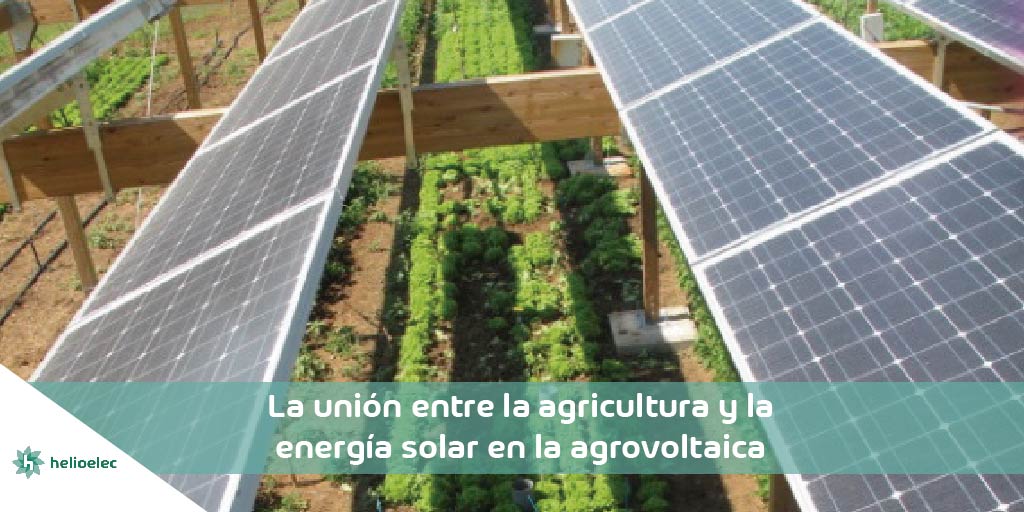 union-agrovoltaica-01.jpg