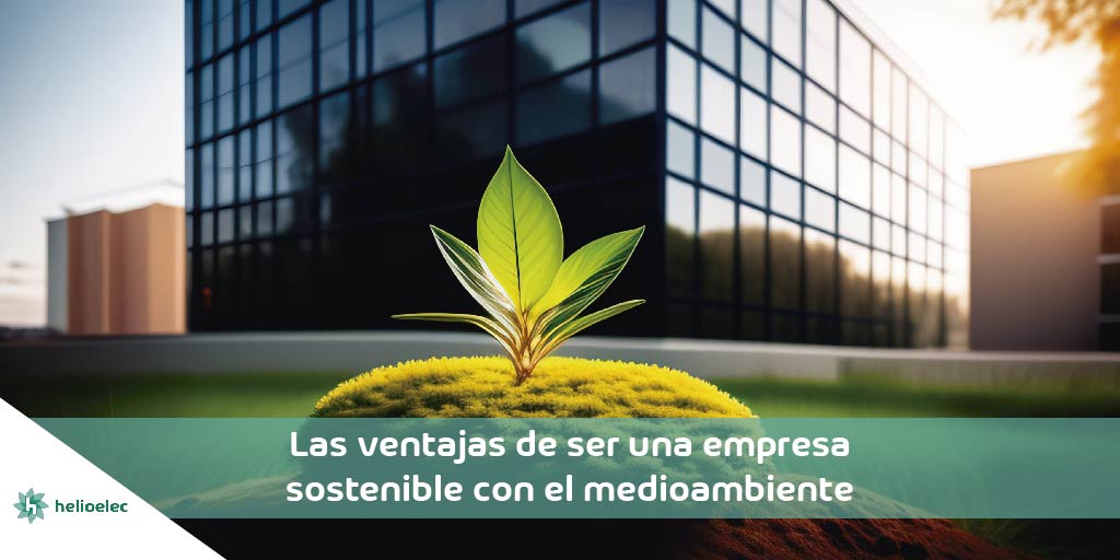 ventajas-empresa-sostenible-01.jpg